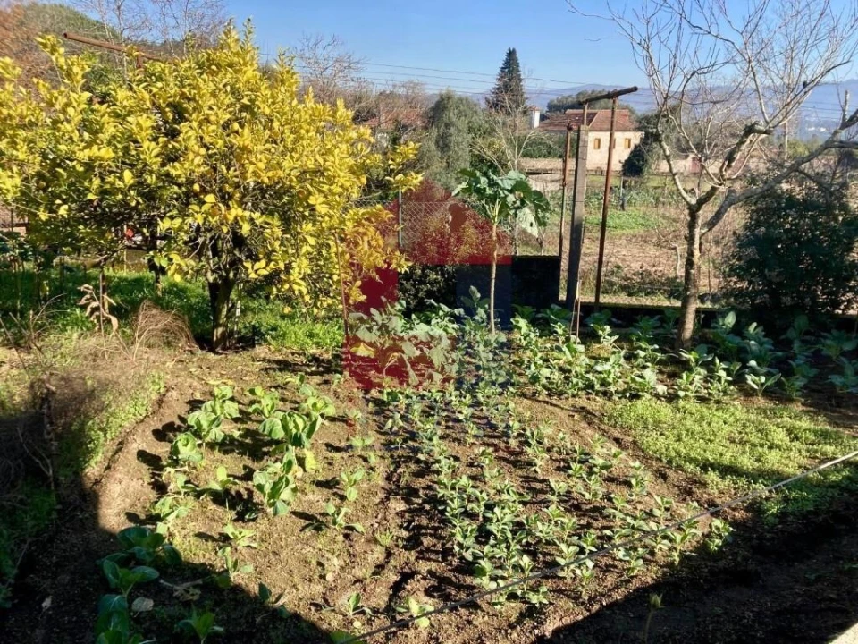 Moradia T3 para Venda em Oriz (Santa Marinha) e Oriz (São Miguel) Foto 27