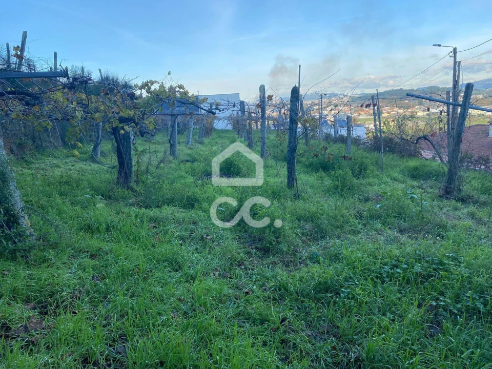 Terreno para Venda em Unhão e Lordelo Foto 8