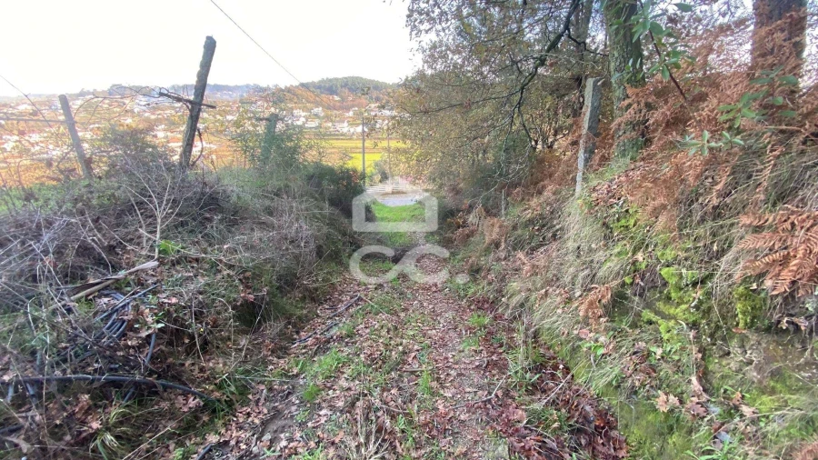 Terreno para Venda em Unhão e Lordelo Foto 3