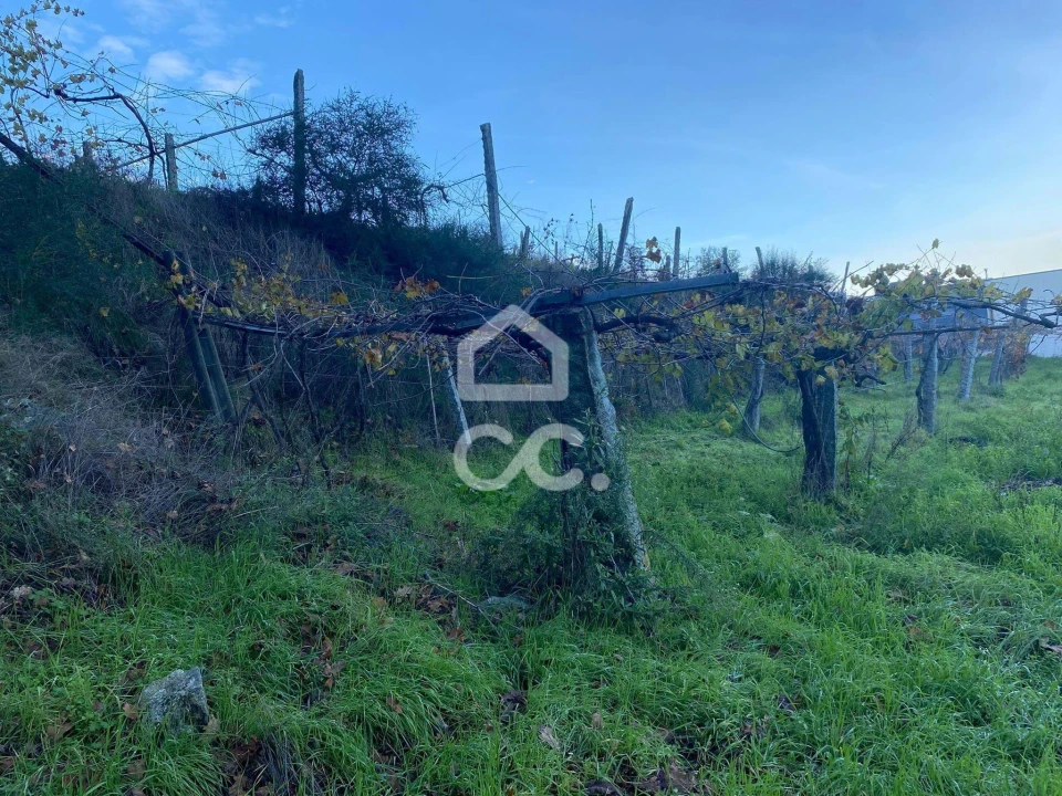Terreno para Venda em Unhão e Lordelo Foto 7
