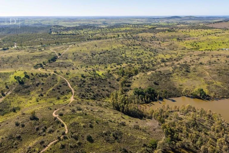 Terreno para Venda em Mertola Foto 4