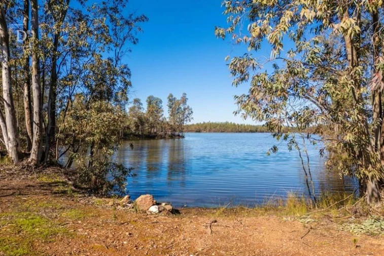 Terreno para Venda em Mertola Foto 6