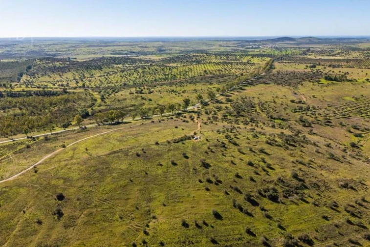 Terreno para Venda em Mertola Foto 5