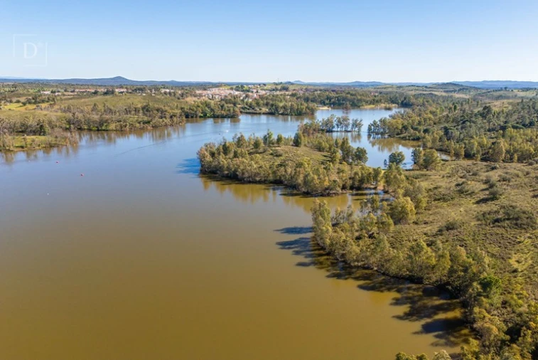 Terreno para Venda em Mertola Foto 9