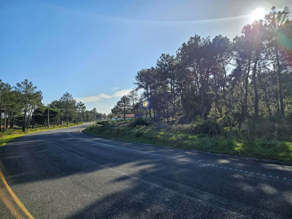Terreno para Venda em Tornada e Salir do Porto Foto 15