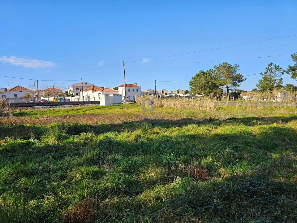 Terreno para Venda em Tornada e Salir do Porto Foto 6