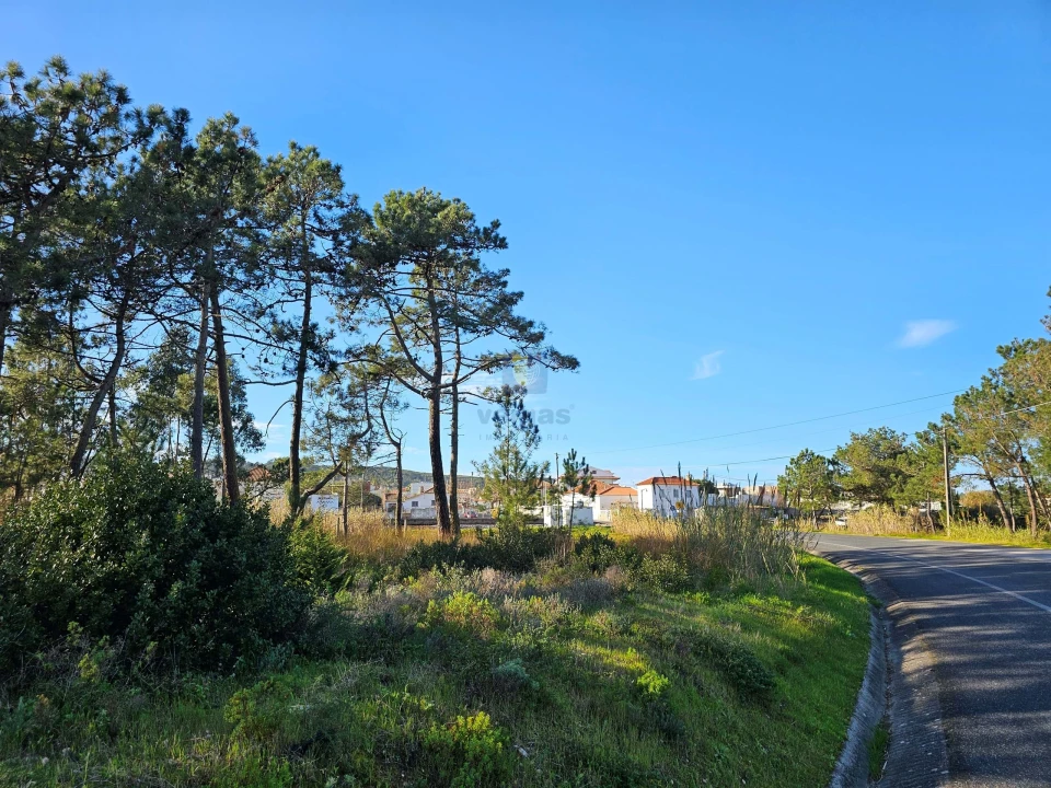 Terreno para Venda em Tornada e Salir do Porto Foto 7