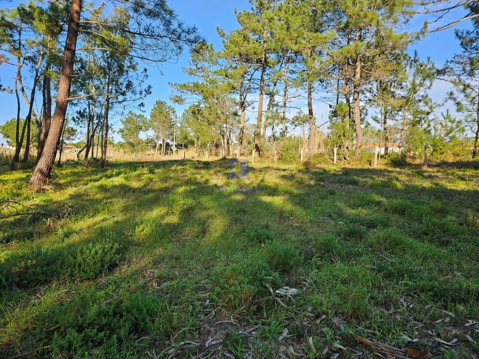 Terreno para Venda em Tornada e Salir do Porto Foto 12