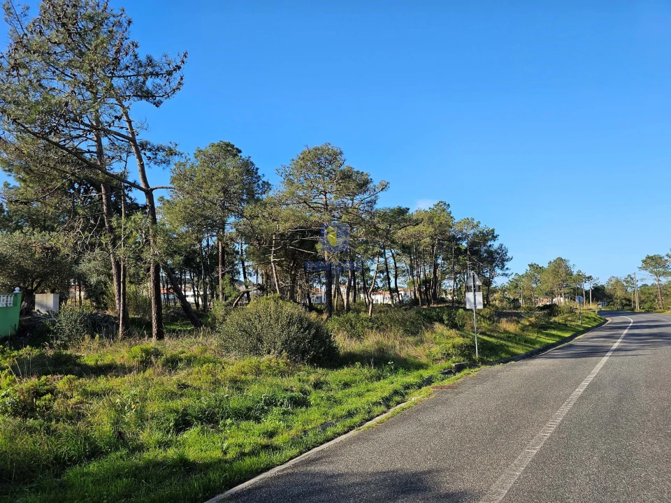 Terreno para Venda em Tornada e Salir do Porto Foto 16