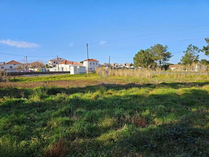 Terreno para Venda em Tornada e Salir do Porto Foto 6