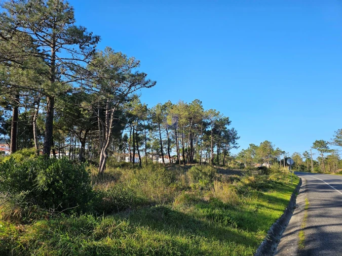 Terreno para Venda em Tornada e Salir do Porto Foto 17