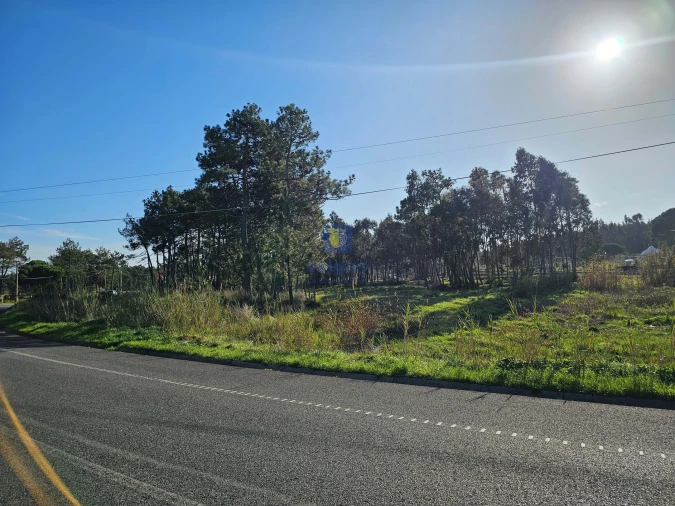 Terreno para Venda em Tornada e Salir do Porto Foto 19