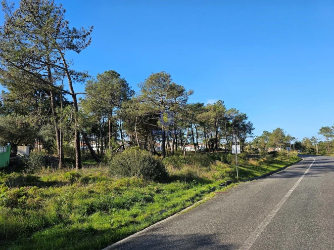 Terreno para Venda em Tornada e Salir do Porto Foto 16