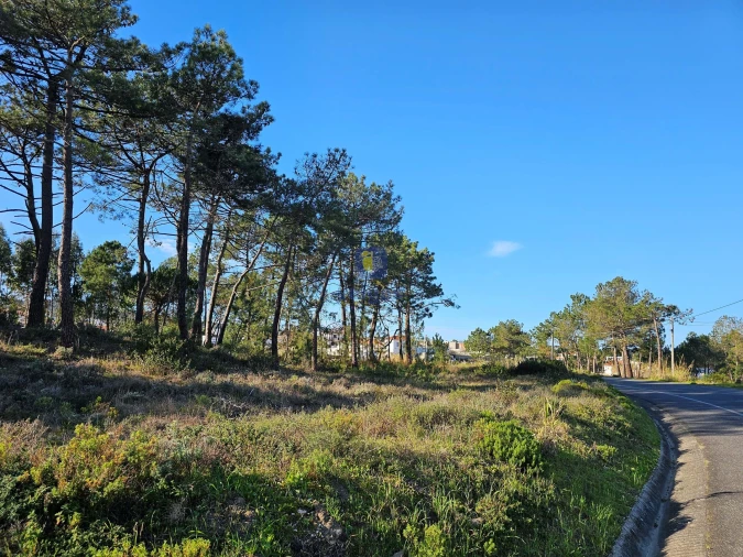 Terreno para Venda em Tornada e Salir do Porto Foto 18