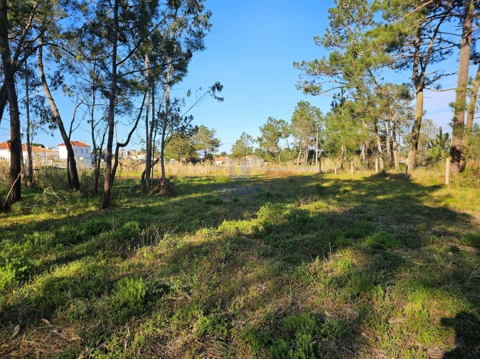 Terreno para Venda em Tornada e Salir do Porto Foto 13