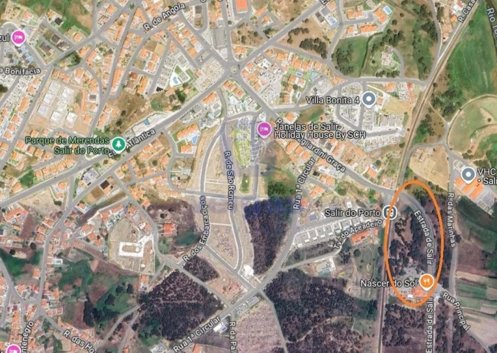 Terreno para Venda em Tornada e Salir do Porto Foto 5