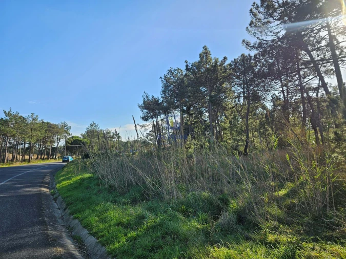Terreno para Venda em Tornada e Salir do Porto Foto 14