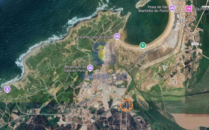 Terreno para Venda em Tornada e Salir do Porto Foto 4