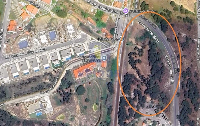 Terreno para Venda em Tornada e Salir do Porto Foto 3
