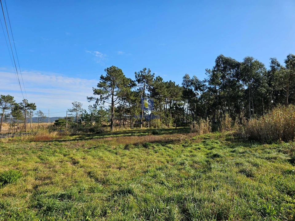 Terreno para Venda em Tornada e Salir do Porto Foto 10