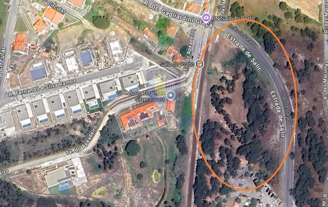 Terreno para Venda em Tornada e Salir do Porto Foto 3