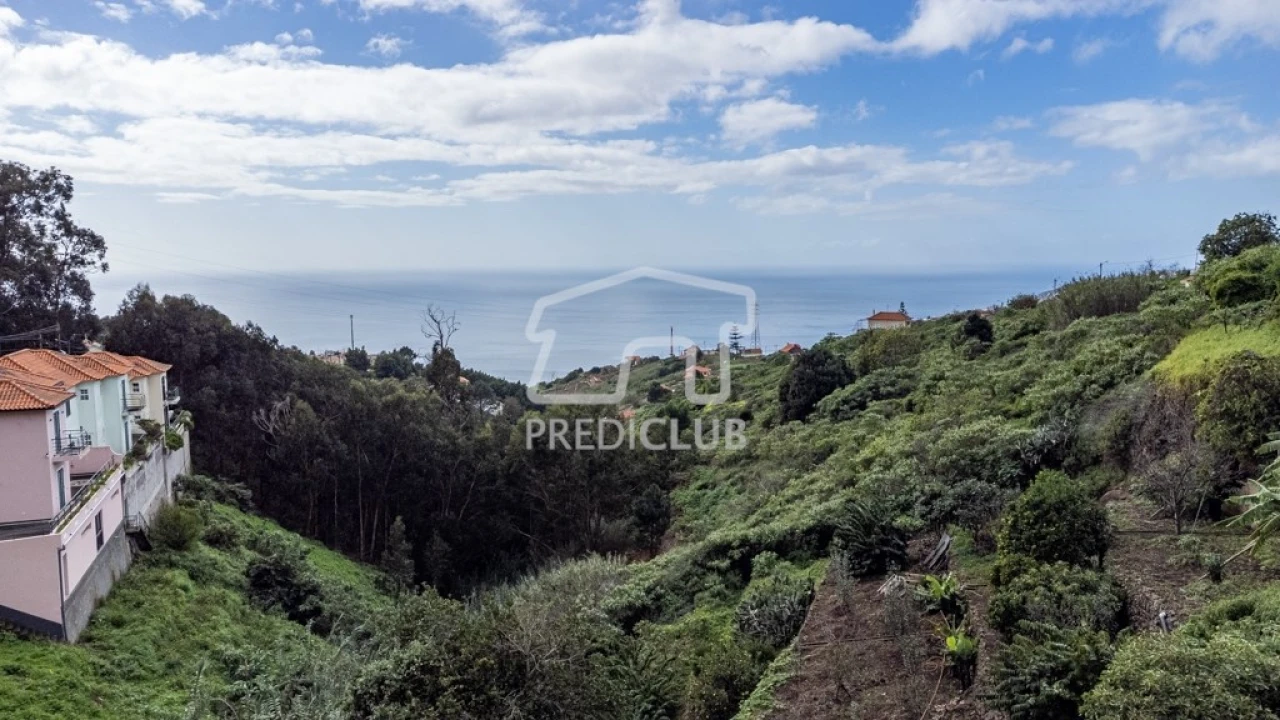 Terreno para Venda em Ribeira Brava Foto 5