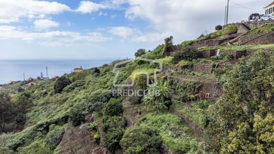 Terreno para Venda em Ribeira Brava Foto 6