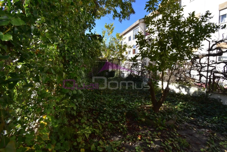 Moradia T4 para Venda em Torres Novas (São Pedro), Lapas e Ribeira Branca Foto 20