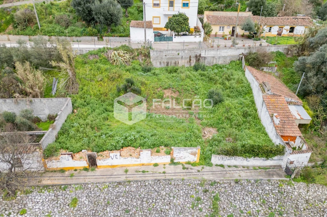 Moradia T0 para Venda em Chamusca e Pinheiro Grande Foto 15