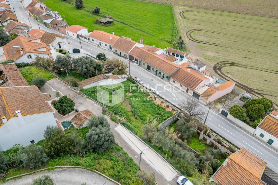 Moradia T0 para Venda em Chamusca e Pinheiro Grande Foto 10