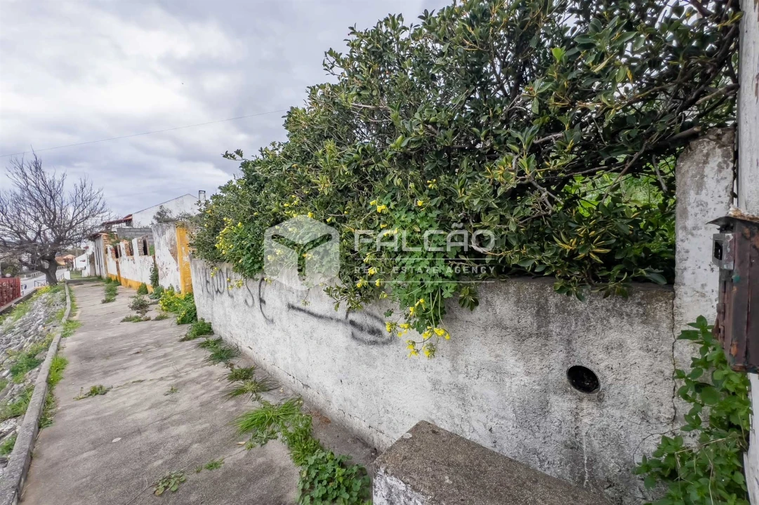 Moradia T0 para Venda em Chamusca e Pinheiro Grande Foto 21