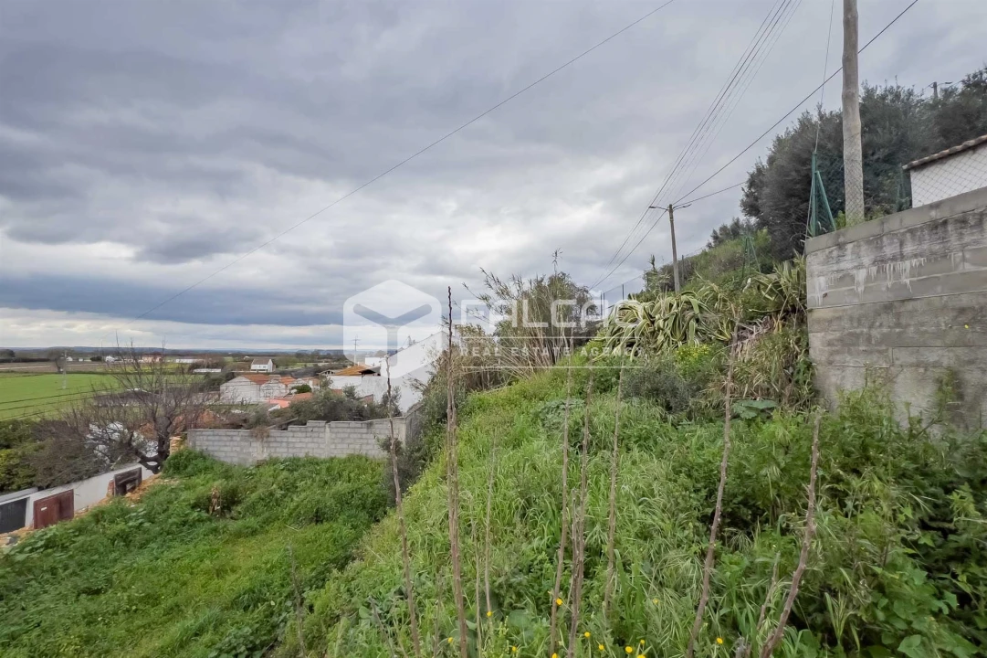 Moradia T0 para Venda em Chamusca e Pinheiro Grande Foto 27