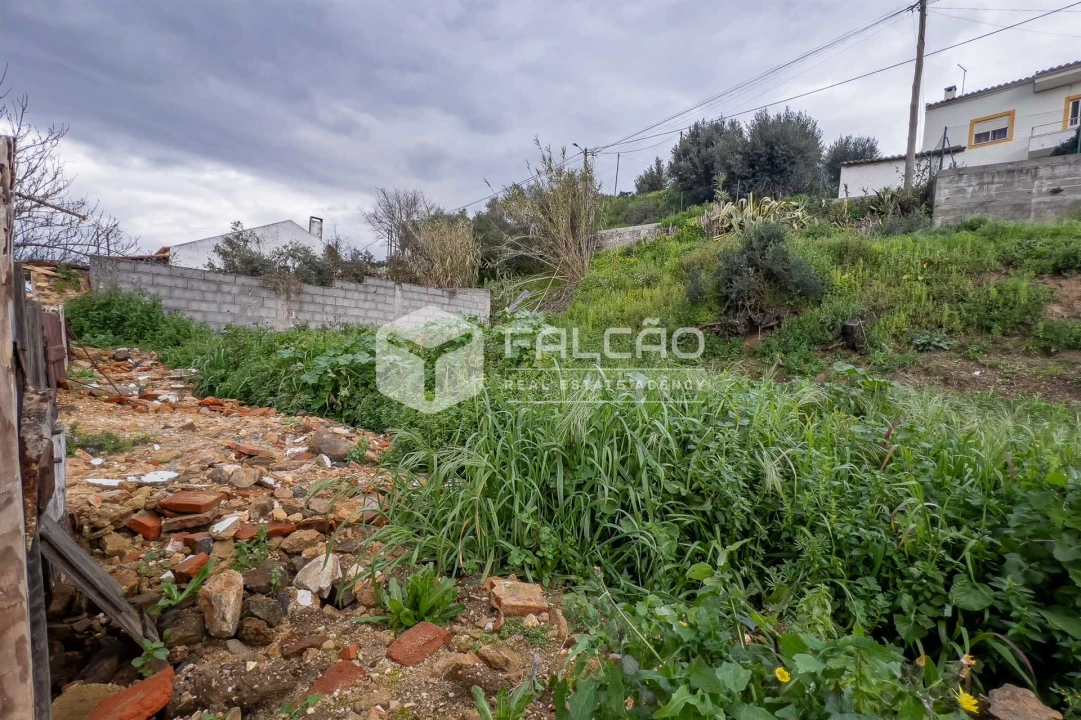 Moradia T0 para Venda em Chamusca e Pinheiro Grande Foto 30