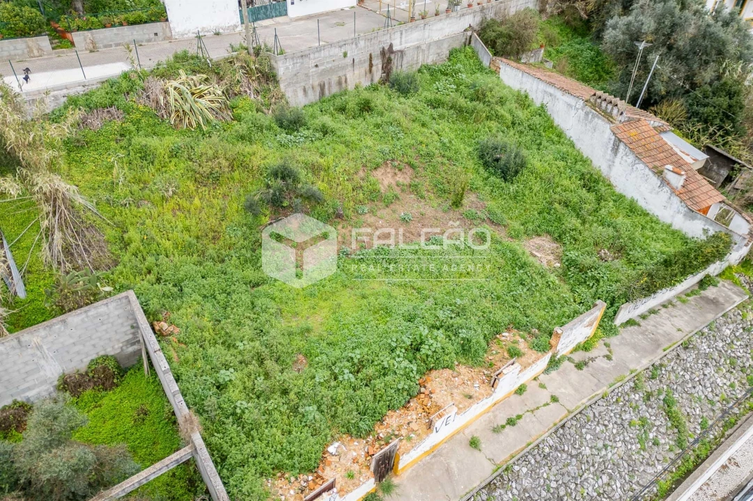 Moradia T0 para Venda em Chamusca e Pinheiro Grande Foto 13