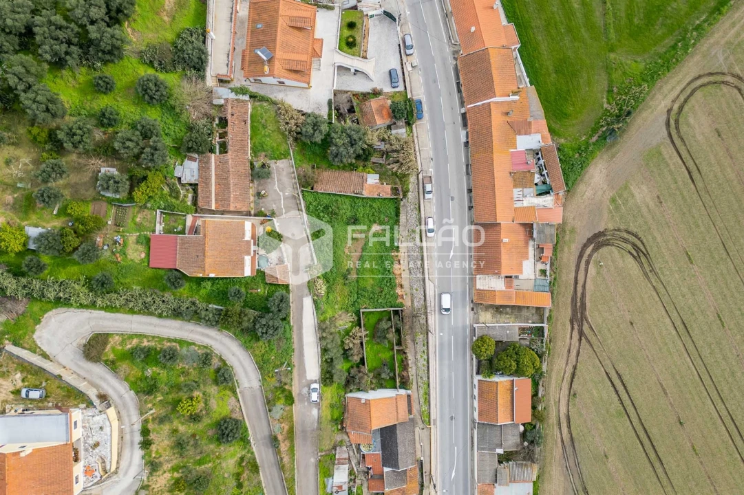 Moradia T0 para Venda em Chamusca e Pinheiro Grande Foto 4