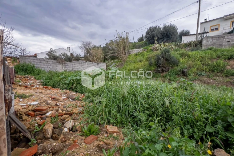 Moradia T0 para Venda em Chamusca e Pinheiro Grande Foto 30