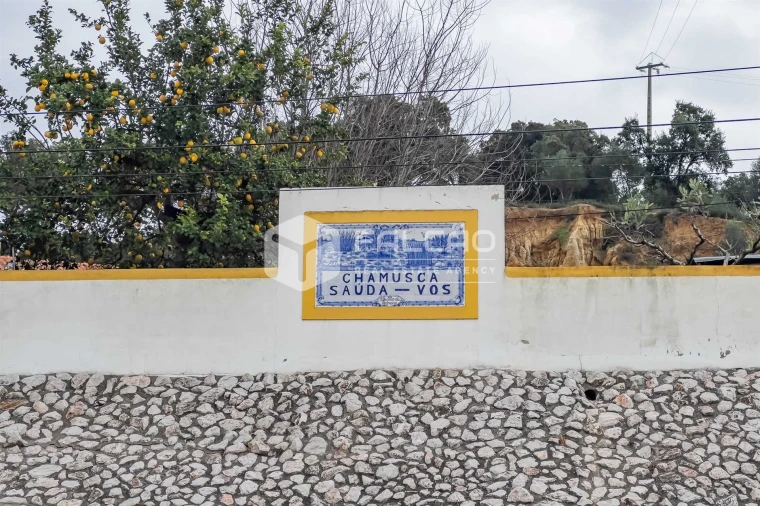 Moradia T0 para Venda em Chamusca e Pinheiro Grande Foto 17