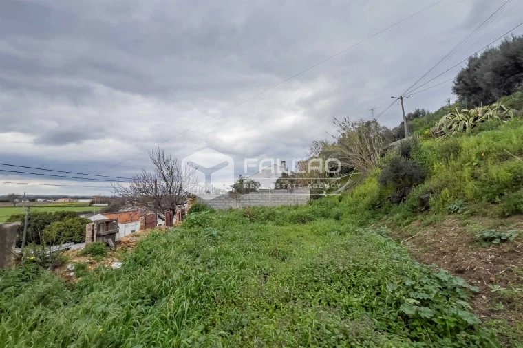 Moradia T0 para Venda em Chamusca e Pinheiro Grande Foto 23