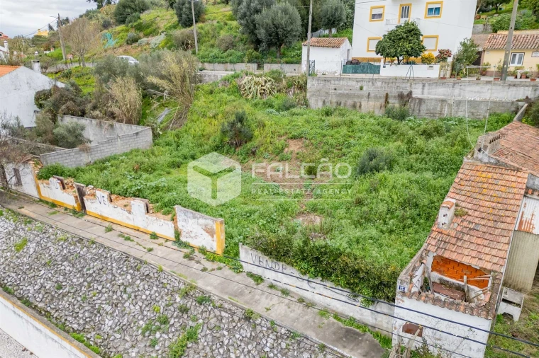 Moradia T0 para Venda em Chamusca e Pinheiro Grande Foto 16