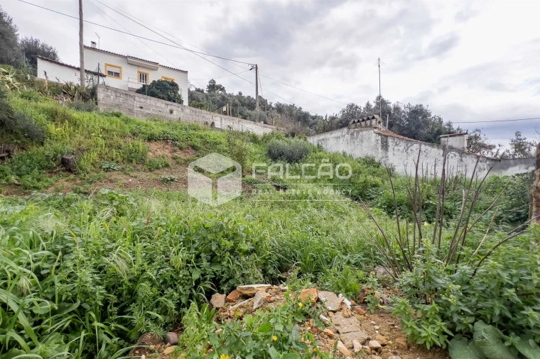 Moradia T0 para Venda em Chamusca e Pinheiro Grande Foto 28