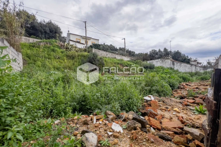 Moradia T0 para Venda em Chamusca e Pinheiro Grande Foto 31