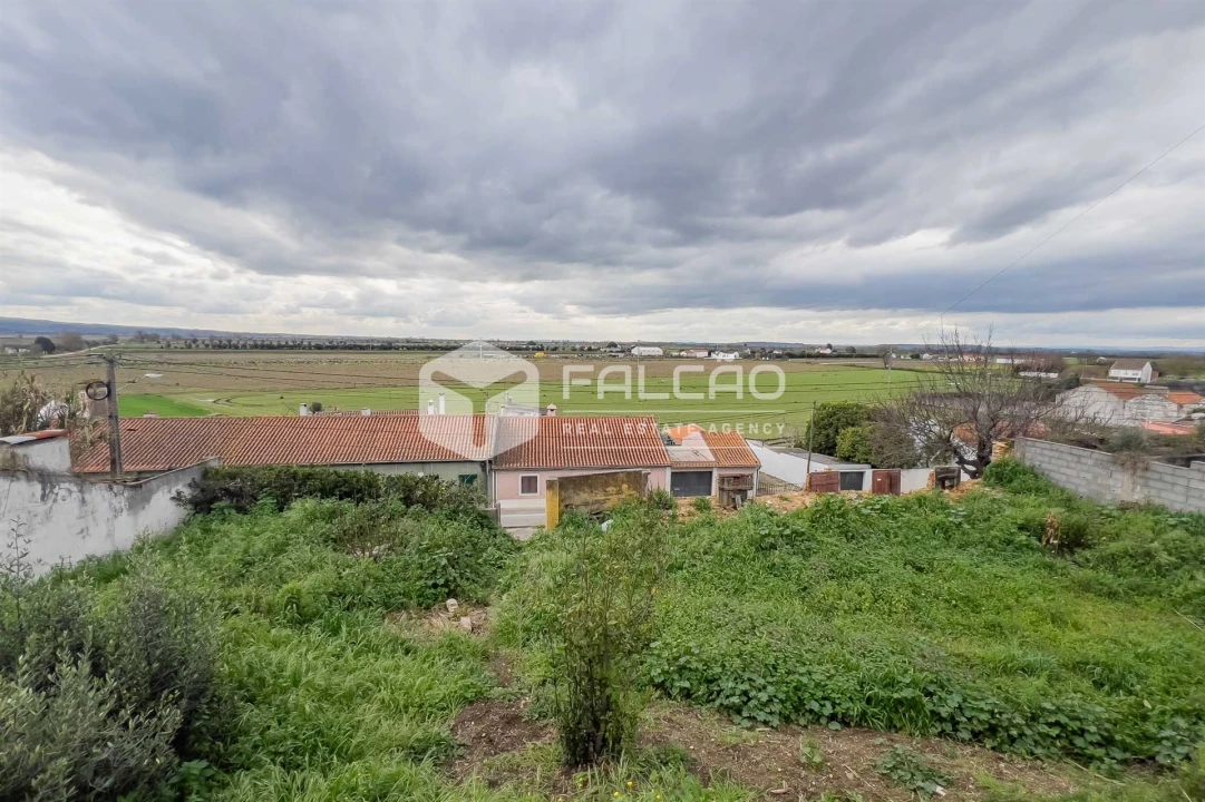 Moradia T0 para Venda em Chamusca e Pinheiro Grande Foto 25