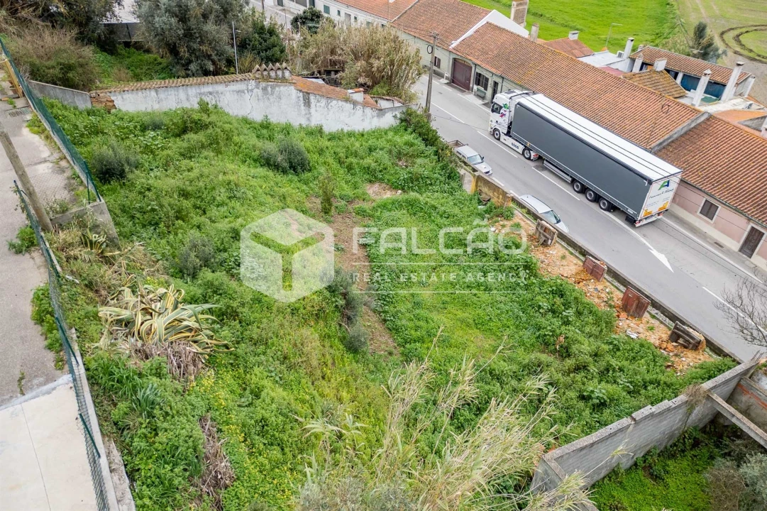 Moradia T0 para Venda em Chamusca e Pinheiro Grande Foto 33