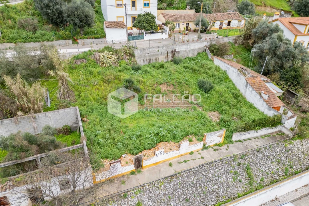 Moradia T0 para Venda em Chamusca e Pinheiro Grande Foto 14