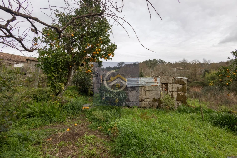 Moradia T4 para Venda em Fonte Arcada Foto 11