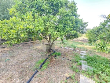 Moradia T5 para Venda em Quarteira