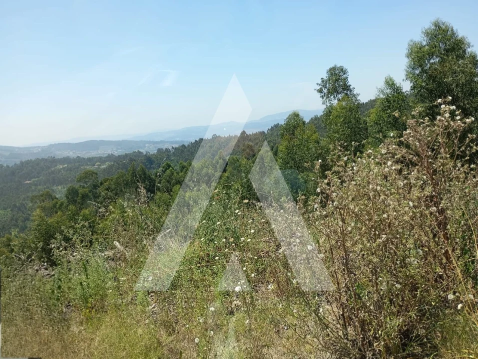 Terreno para Venda em Oldrões Foto 4