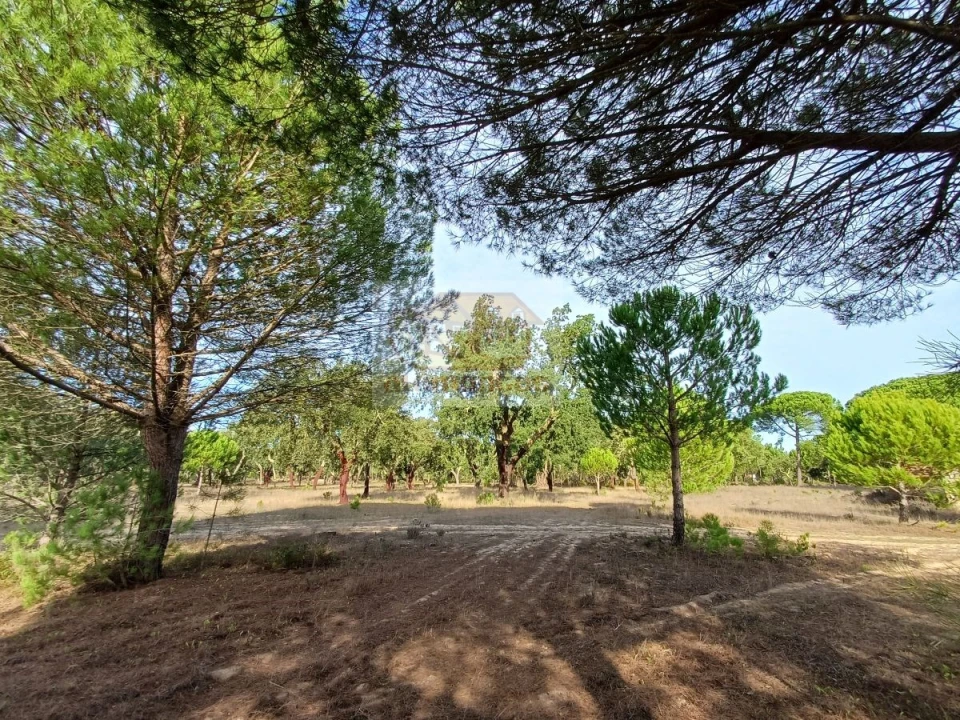 Terreno Misto para Venda em Grândola e Santa Margarida da Serra Foto 4