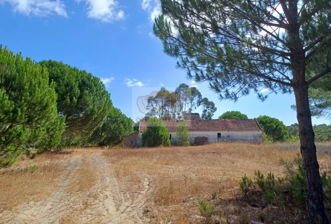 Terreno Misto para Venda em Grândola e Santa Margarida da Serra Foto 3
