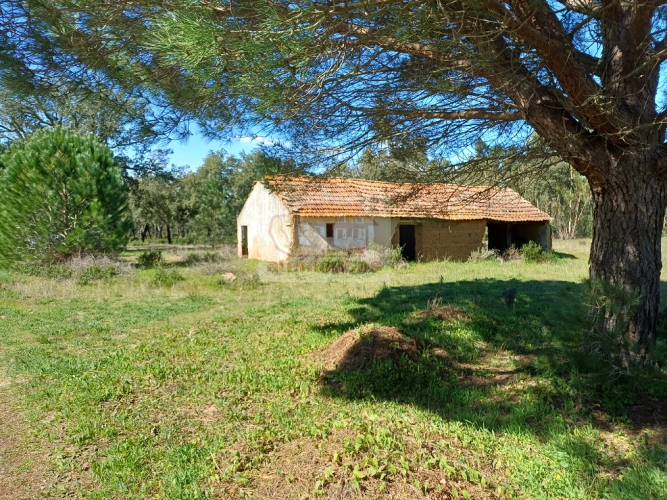 Terreno Misto para Venda em Grândola e Santa Margarida da Serra Foto 1